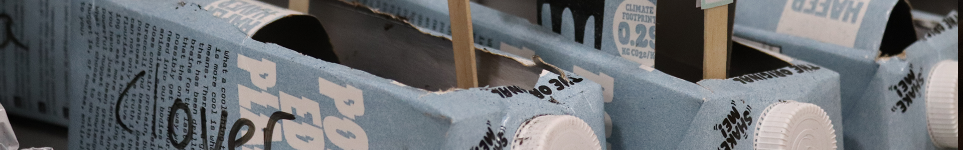 Maak een moestuintje